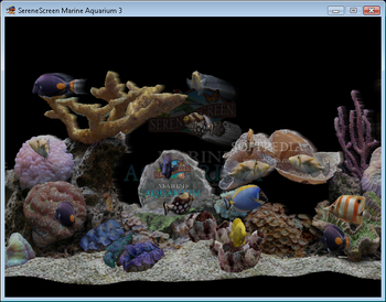 Marine Aquarium screenshot