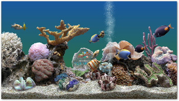 Marine Aquarium screenshot
