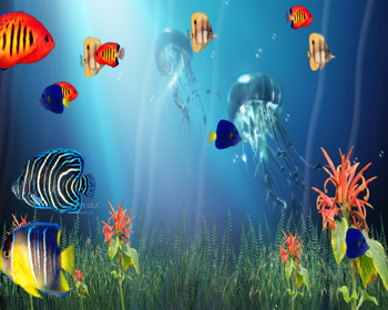 Marine Life Aquarium 3D Screensaver screenshot