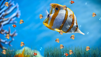 Marine Life Aquarium Screensaver screenshot