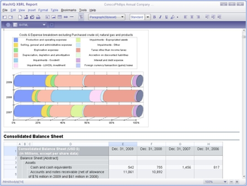 MashIQ XBRL Report screenshot