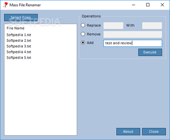 Mass File Renamer screenshot