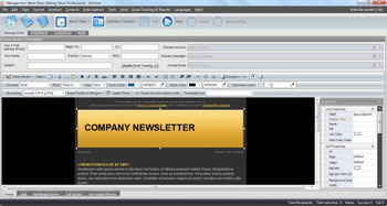 Mass Mailing News Free Edition screenshot