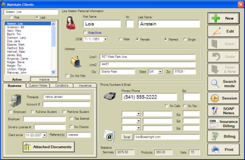 Massage Office Professional screenshot 3