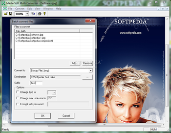 MasterSoft Multi Converter screenshot 3