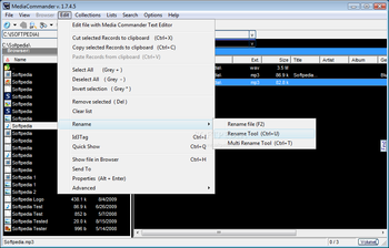 Media Commander screenshot 4