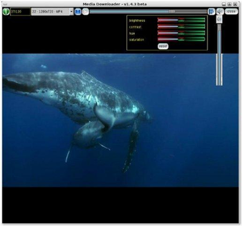Media Downloader screenshot 4