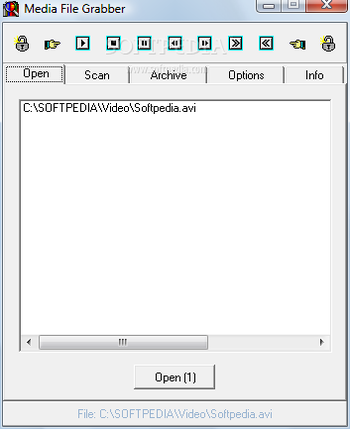 Media File Grabber screenshot