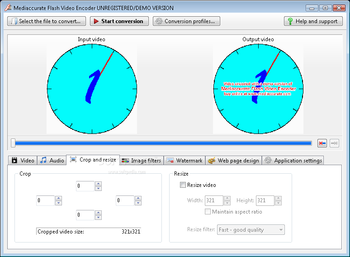 Mediaccurate Flash Video Encoder screenshot 2