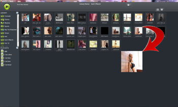 MediaGalleryPro screenshot 2