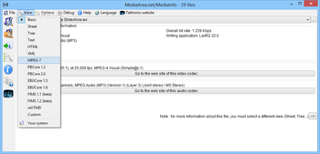 MediaInfo screenshot 2