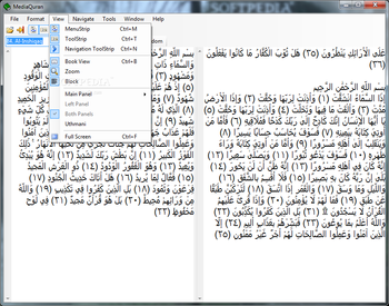 MediaQuran screenshot 2