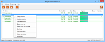 MegaDownloader screenshot 3