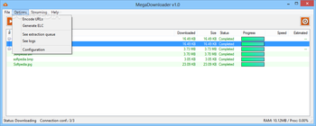 MegaDownloader screenshot 4