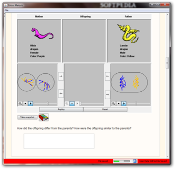 Meiosis screenshot