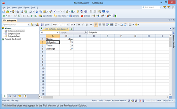 MemoMaster Professional screenshot 6