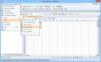 MemoMaster Professional screenshot 7