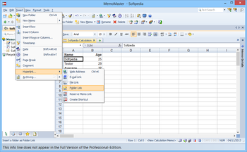 MemoMaster Professional screenshot 8