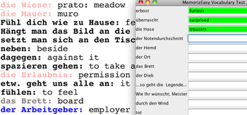 MemorizEasy screenshot