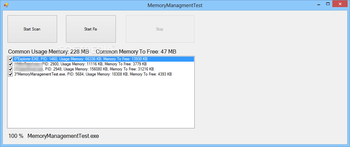 Memory Management ActiveX screenshot