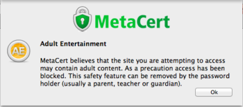 MetaSurf screenshot
