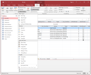 Microsoft Access screenshot 10