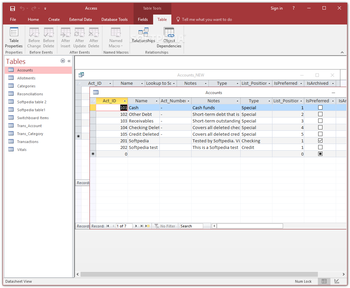 Microsoft Access screenshot 11