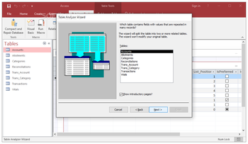 Microsoft Access screenshot 13