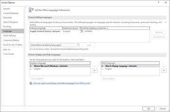 Microsoft Access screenshot 23