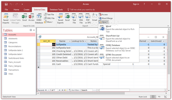 Microsoft Access screenshot 6