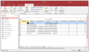 Microsoft Access screenshot 7