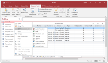 Microsoft Access screenshot 8