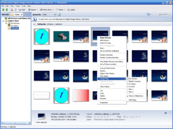 Microsoft Digital Image screenshot 2