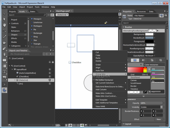 Microsoft Expression Blend screenshot 4