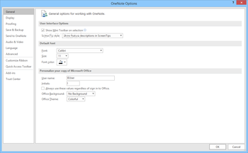 Microsoft OneNote screenshot 12