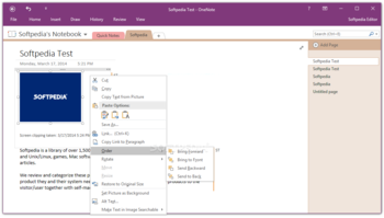 Microsoft OneNote screenshot 2