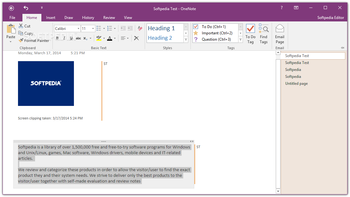 Microsoft OneNote screenshot 3