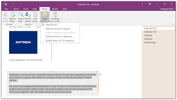 Microsoft OneNote screenshot 6