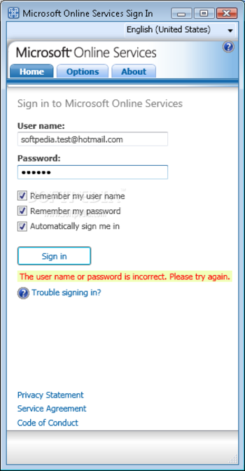 Microsoft Online Services Sign In screenshot