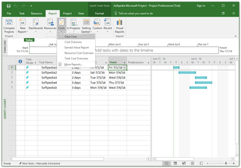 Microsoft Project Professional screenshot 10