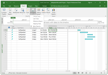 Microsoft Project Professional screenshot 11