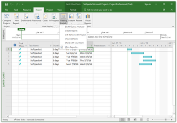 Microsoft Project Professional screenshot 12