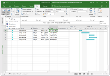 Microsoft Project Professional screenshot 15