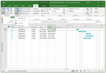 Microsoft Project Professional screenshot 16