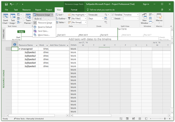 Microsoft Project Professional screenshot 17