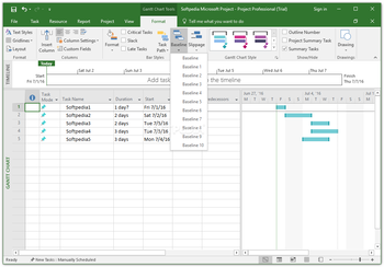 Microsoft Project Professional screenshot 19