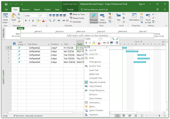 Microsoft Project Professional screenshot 3