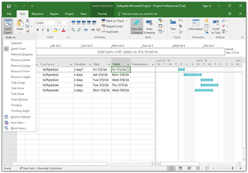 Microsoft Project Professional screenshot 4