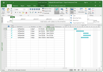 Microsoft Project Professional screenshot 5