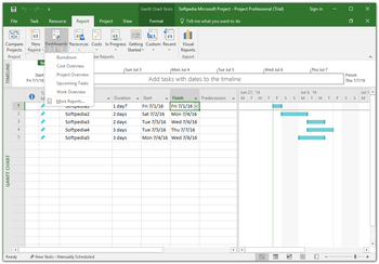 Microsoft Project Professional screenshot 8